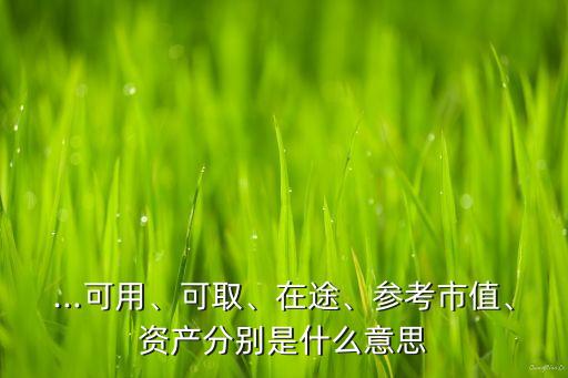...可用、可取、在途、參考市值、資產分別是什么意思