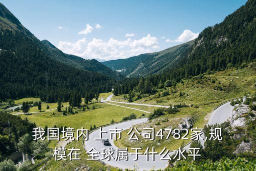 我國境內 上市 公司4782家,規(guī)模在 全球屬于什么水平
