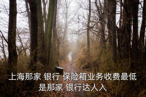 上海那家 銀行 保險箱業(yè)務(wù)收費最低是那家 銀行達(dá)人入