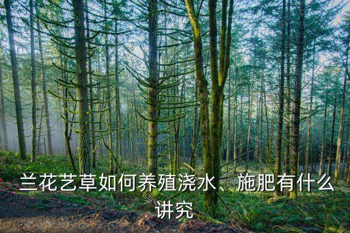  蘭花藝草如何養(yǎng)殖澆水、施肥有什么講究