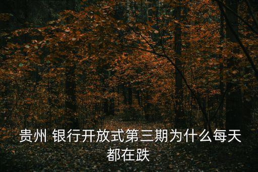  貴州 銀行開(kāi)放式第三期為什么每天都在跌