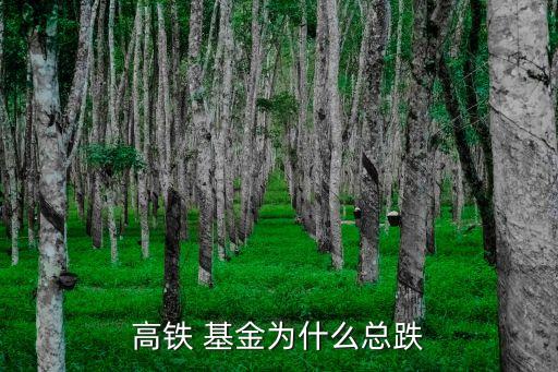 河南省鐵路產業(yè)投資基金