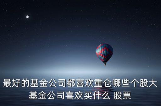 最好的基金公司都喜歡重倉哪些個股大基金公司喜歡買什么 股票