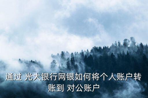 通過(guò) 光大銀行網(wǎng)銀如何將個(gè)人賬戶(hù)轉(zhuǎn)賬到 對(duì)公賬戶(hù)