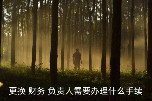 更換 財務(wù) 負責(zé)人需要辦理什么手續(xù)