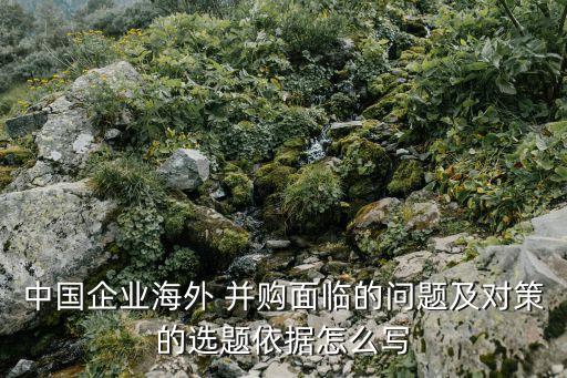 中國企業(yè)海外 并購面臨的問題及對(duì)策的選題依據(jù)怎么寫