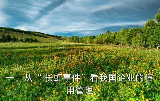 一、從“ 長(zhǎng)虹事件”看我國(guó)企業(yè)的信用管理