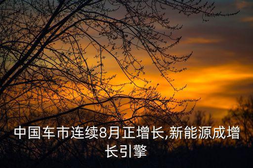 中國(guó)車(chē)市連續(xù)8月正增長(zhǎng),新能源成增長(zhǎng)引擎