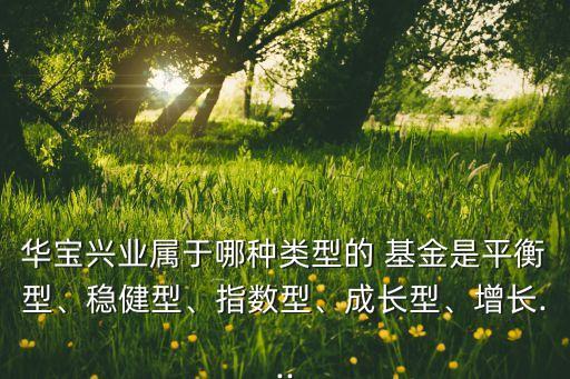 華寶興業(yè)屬于哪種類型的 基金是平衡型、穩(wěn)健型、指數(shù)型、成長(zhǎng)型、增長(zhǎng)...