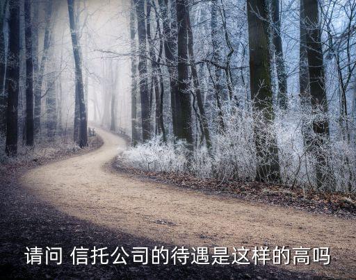 請(qǐng)問(wèn) 信托公司的待遇是這樣的高嗎