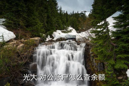 光大 對(duì)公賬戶(hù)怎么查余額