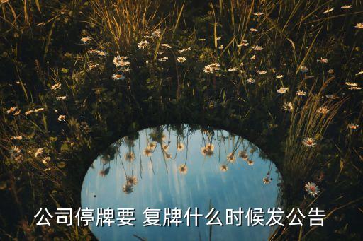 公司停牌要 復(fù)牌什么時(shí)候發(fā)公告