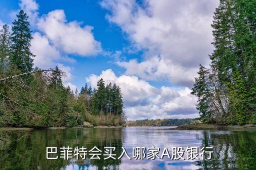  巴菲特會(huì)買(mǎi)入哪家A股銀行