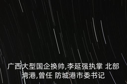 廣西大型國(guó)企換帥,李延強(qiáng)執(zhí)掌 北部灣港,曾任 防城港市委書記