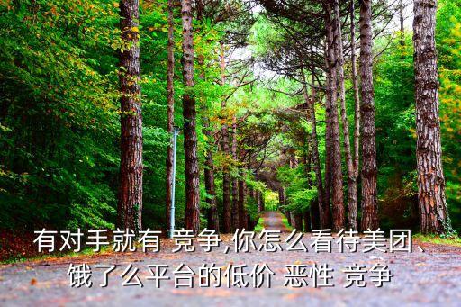 有對手就有 競爭,你怎么看待美團、餓了么平臺的低價 惡性 競爭