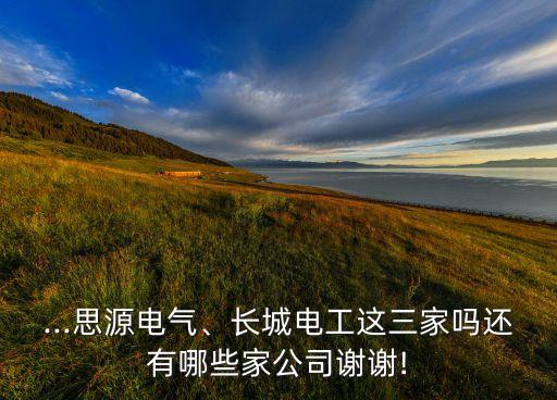 ...思源電氣、長(zhǎng)城電工這三家嗎還有哪些家公司謝謝!