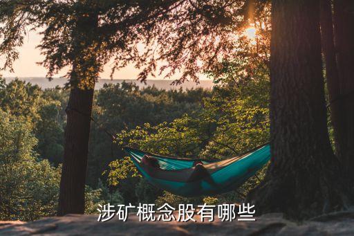 廣西田陽(yáng)中金金業(yè)有限公司生活區(qū)用地,田陽(yáng)中金金業(yè)有限公司拍賣(mài)