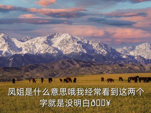  鳳姐是什么意思哦我經(jīng)?？吹竭@兩個(gè)字就是沒明白?