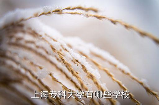  上海?？拼髮W(xué)有哪些學(xué)校