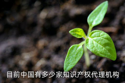 目前中國有多少家知識產(chǎn)權代理機構