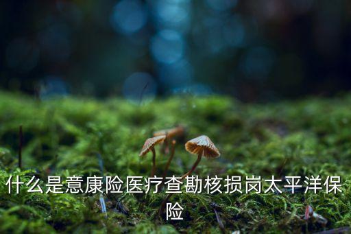 中國(guó)太?；A(chǔ)設(shè)施債權(quán),基礎(chǔ)設(shè)施債權(quán)計(jì)劃