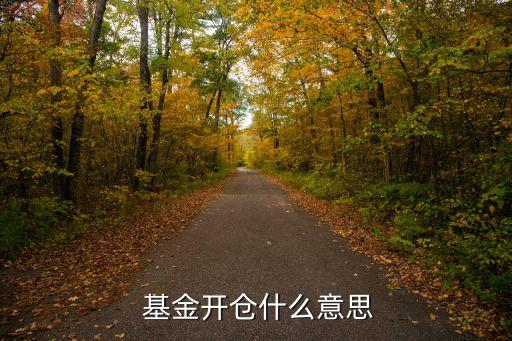  基金開(kāi)倉(cāng)什么意思