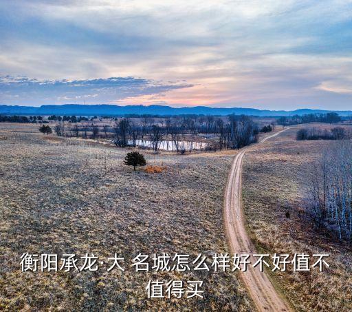 衡陽(yáng)承龍·大 名城怎么樣好不好值不值得買