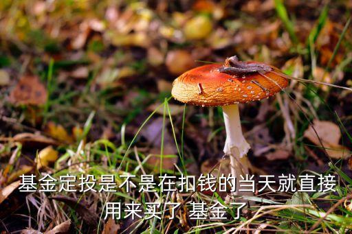 基金扣款時(shí)間,騰安基金自動扣款在哪里