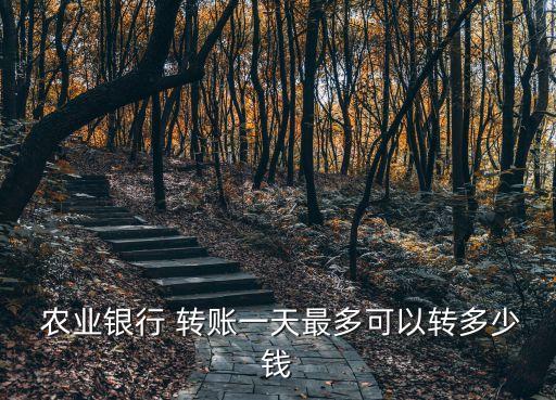 農(nóng)業(yè)銀行轉(zhuǎn)賬額度,怎么查詢(xún)農(nóng)業(yè)銀行轉(zhuǎn)賬額度