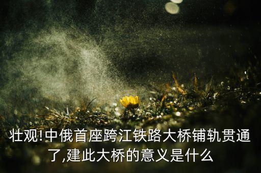中國與俄羅斯高鐵,中國俄羅斯高鐵誰出資建設的