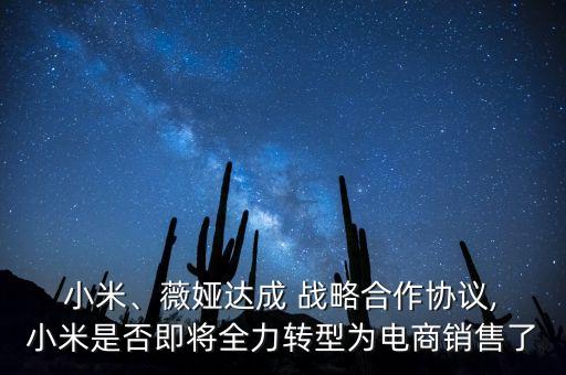  小米、薇婭達成 戰(zhàn)略合作協(xié)議, 小米是否即將全力轉(zhuǎn)型為電商銷售了