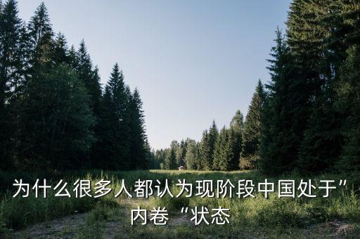 為什么很多人都認為現(xiàn)階段中國處于”內卷“狀態(tài)