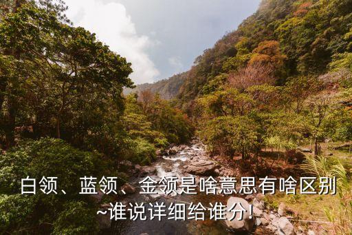  白領(lǐng)、藍(lán)領(lǐng)、金領(lǐng)是啥意思有啥區(qū)別~誰(shuí)說(shuō)詳細(xì)給誰(shuí)分!