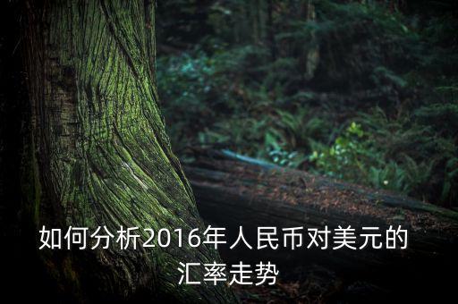 如何分析2016年人民幣對(duì)美元的 匯率走勢