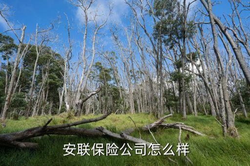  安聯保險公司怎么樣