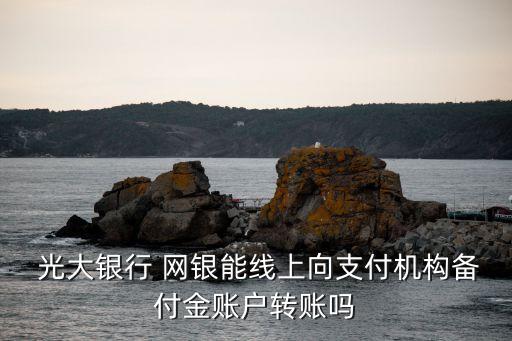  光大銀行 網(wǎng)銀能線(xiàn)上向支付機(jī)構(gòu)備付金賬戶(hù)轉(zhuǎn)賬嗎