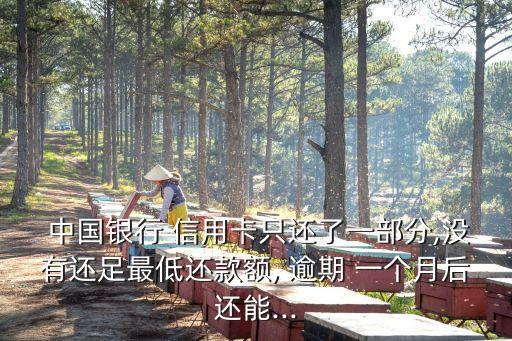 中國銀行信用卡逾期一個(gè)月