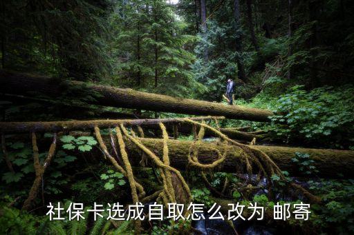  社?？ㄟx成自取怎么改為 郵寄