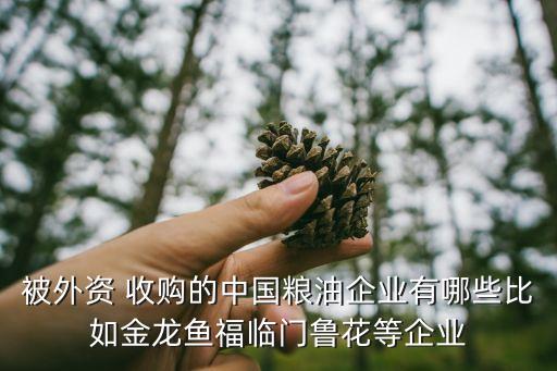被外資 收購(gòu)的中國(guó)糧油企業(yè)有哪些比如金龍魚(yú)福臨門(mén)魯花等企業(yè)