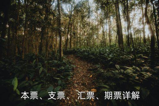  本票、支票、 匯票、期票詳解
