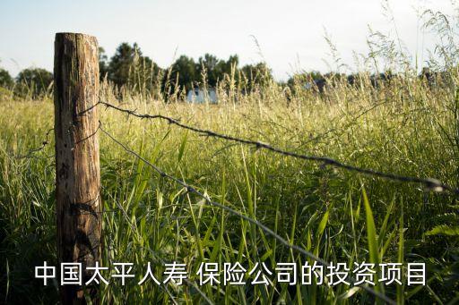 中國太平人壽 保險(xiǎn)公司的投資項(xiàng)目