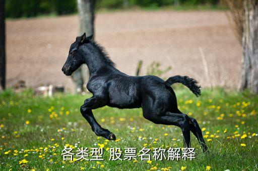 各類(lèi)型 股票名稱(chēng)解釋
