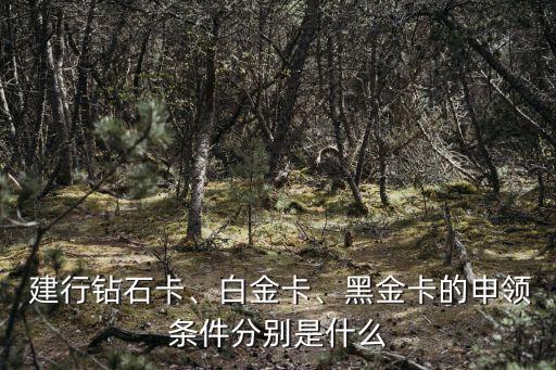  建行鉆石卡、白金卡、黑金卡的申領條件分別是什么