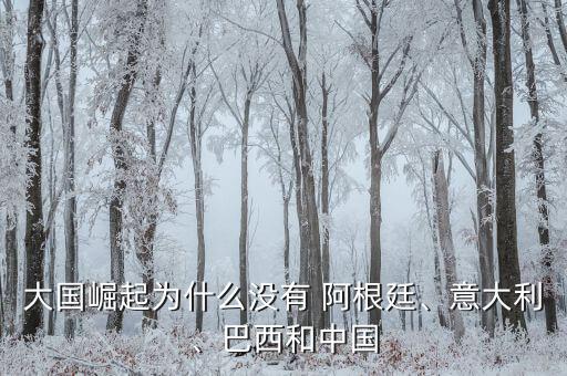 大國崛起為什么沒有 阿根廷、意大利、巴西和中國