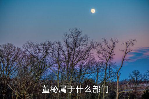 上市公司董秘電話(huà)