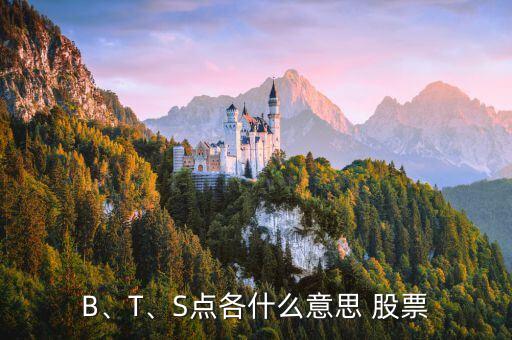 B、T、S點(diǎn)各什么意思 股票