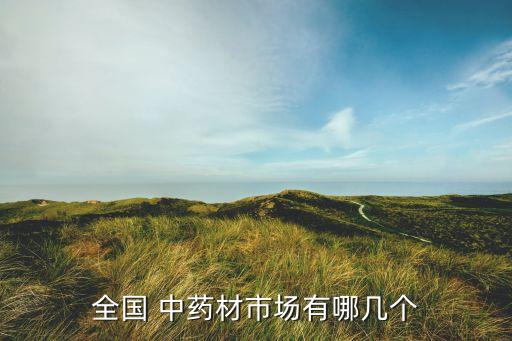 全國(guó) 中藥材市場(chǎng)有哪幾個(gè)