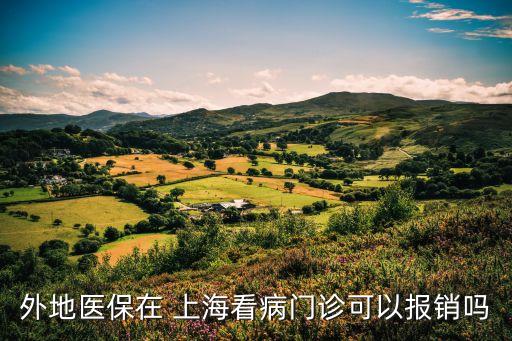 外地醫(yī)保在 上?？床￠T診可以報(bào)銷嗎
