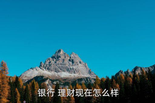  銀行 理財(cái)現(xiàn)在怎么樣