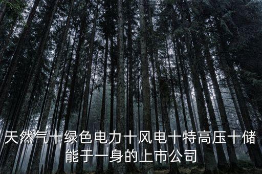 天然氣十綠色電力十風電十特高壓十儲能于一身的上市公司